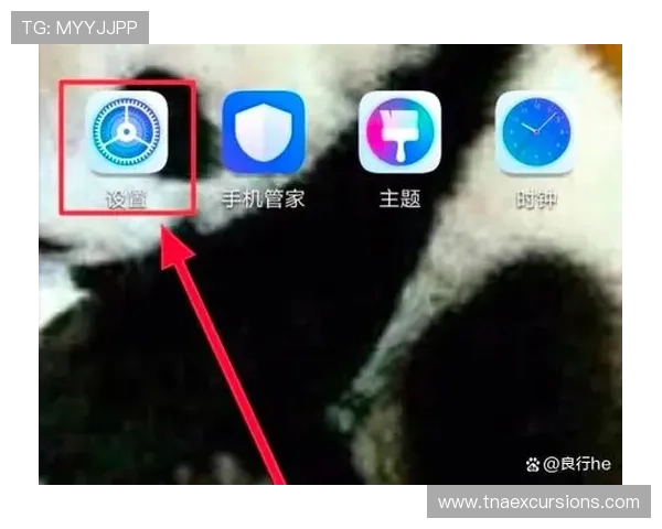 如何通过手机登录ag贵宾厅实现便捷娱乐和账户管理的详细步骤介绍