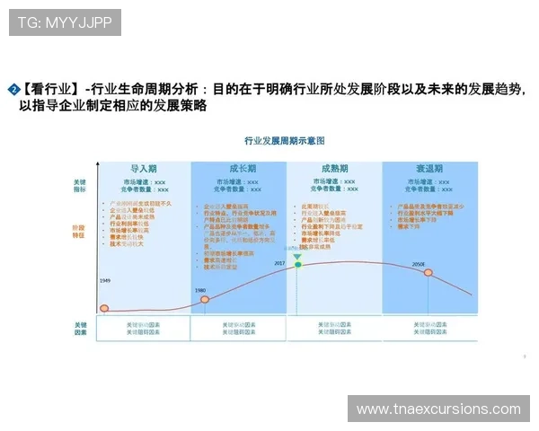 深入分析ag视讯与bb的特点,了解它们的优势与劣势 深入分析ag视讯与bb的特点,了解它们的优势与劣势