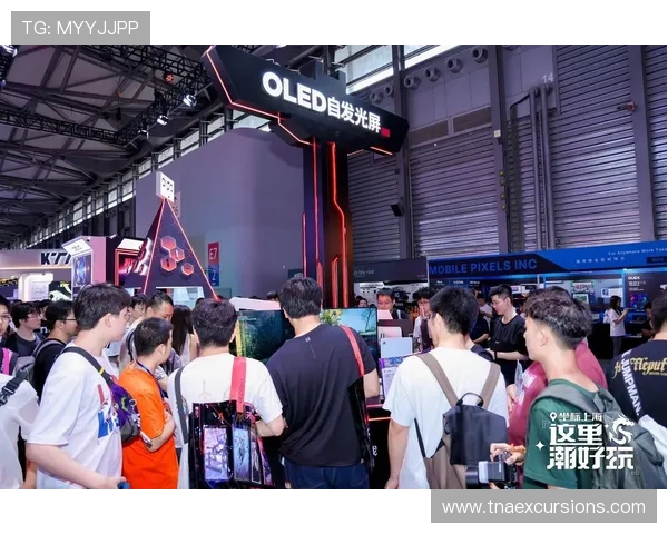 深度解析K发娱乐AG的独特魅力，为玩家打造最全面的娱乐互动体验平台