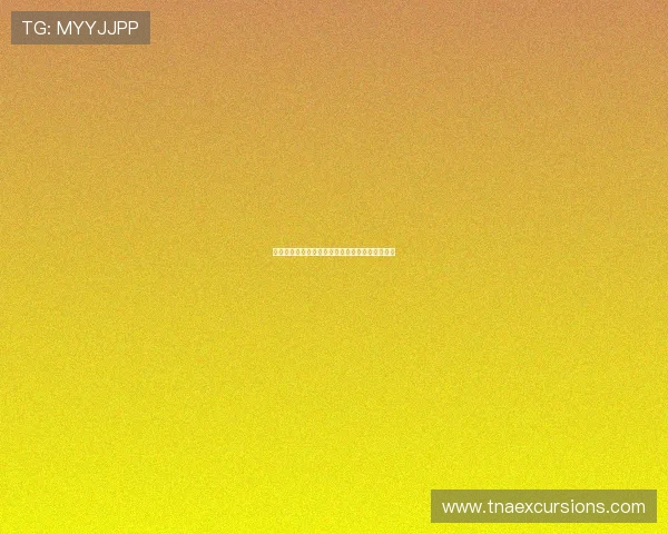 竞咪百家乐玩法详解让你轻松掌握赢取大奖的秘诀