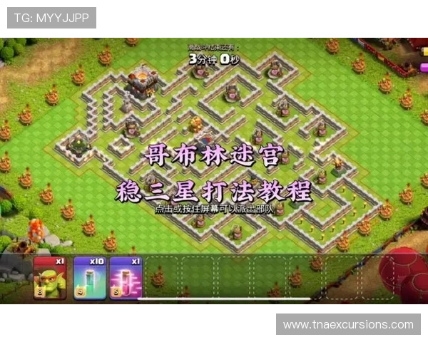 全面解析ag百家了稳打法的实战应用帮助玩家稳步提升游戏水平