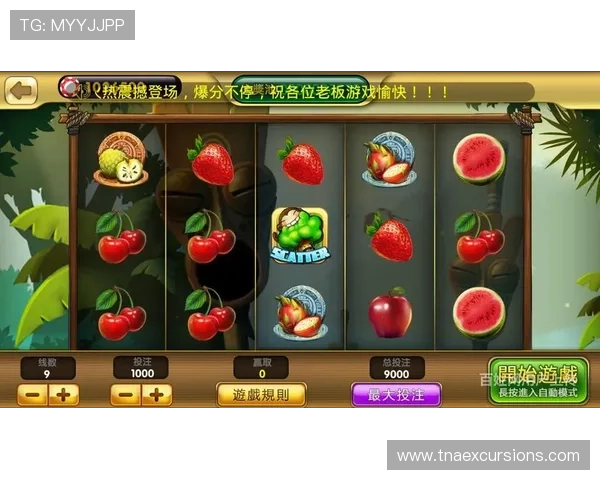 真人电子游戏平台app注册遇到问题怎么办？详细解决方案与常见问题解答