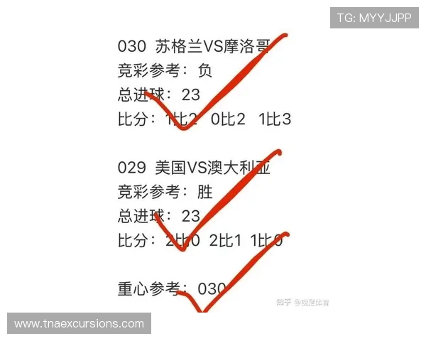 2026年世界杯突尼斯对阵日本比赛控球率分析与战术解读